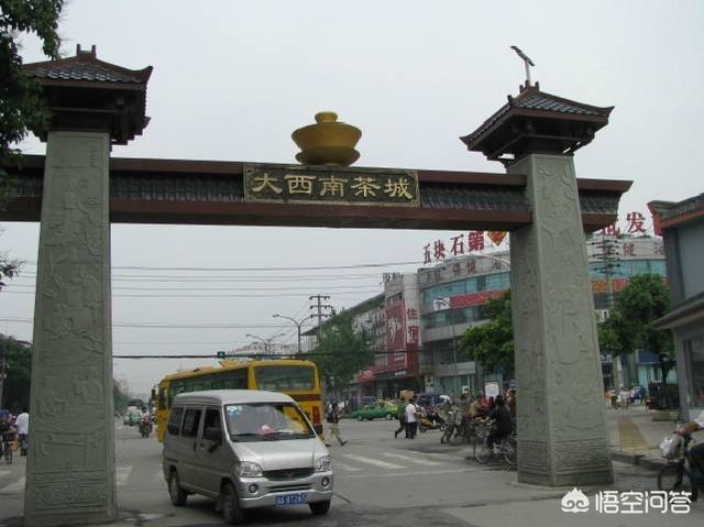 桃花水母现身云南:西南部农村未来的发展方向在哪里