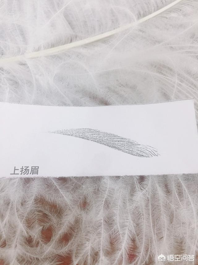 怎样学会眉毛的入门画法呢？插图46