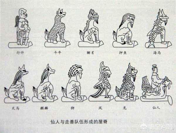 伯劳鸟架子图片下载:古建筑上一排小动物和各种脊兽，都是什么？用来做什么的？ 伯劳鸟架子图片