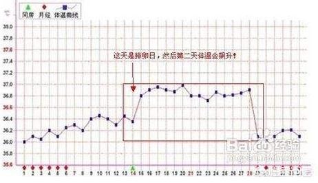 基础体温低温多久排卵:想问一下排卵期的症状是怎么样的呢？