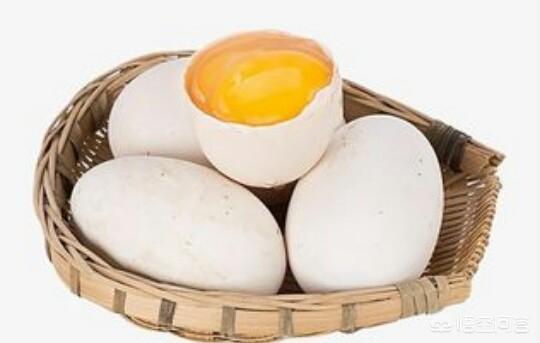 为何农村腌制鹅蛋的很少，鹅蛋比鸡鸭蛋都要贵，为何一些农村养鹅的少鹅养到多少斤出栏