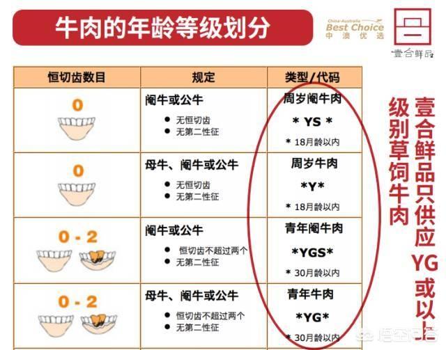 日本和牛和澳大利亚和牛的牛肉哪个好吃？