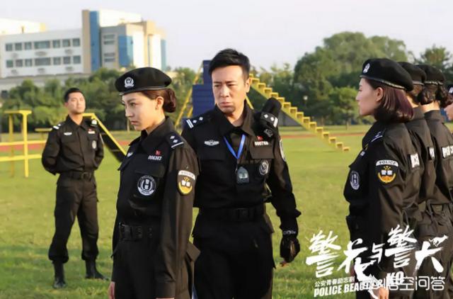 警花与警犬电视剧:如何评价电视剧《警花与警犬》？为何被频频吐槽？ 警花与警犬电视剧在线播放