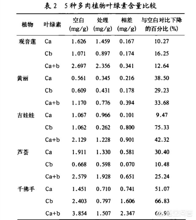 多肉这种植物到底吃什么，多肉植物用什么养最好