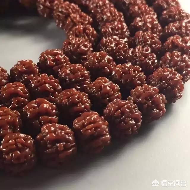 刷尾负鼠:金刚菩提子头和尾怎么刷？