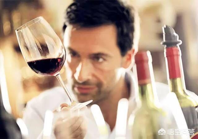 红酒小知识，如何学习红酒葡萄酒的基本知识红酒专业知识大全