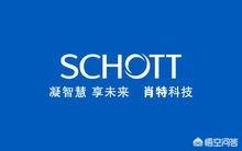 什么是肖特？