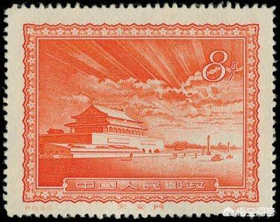 角蛙价格排名:有牙齿，咬合力超过狼的魔鬼蛙，能猎杀恐龙吗？ 角蛙价格排行