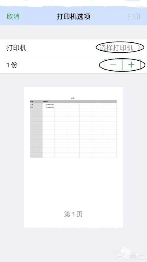 苹果手机怎么使用自带办公表格？:苹果手机怎么做表格 第8张