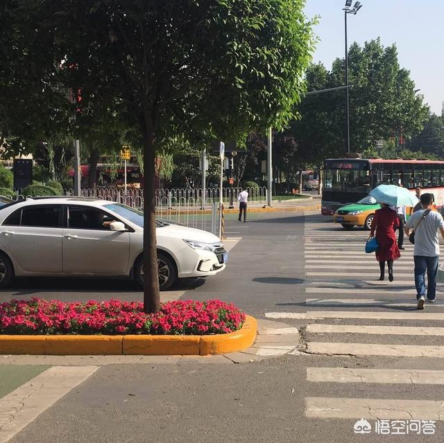 不礼让行人不配合交警：不礼让行人拒不配合交警检查