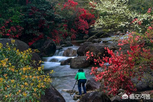 夏天怎么拍好看流水潺潺？:流水潺潺什么意思 第1张