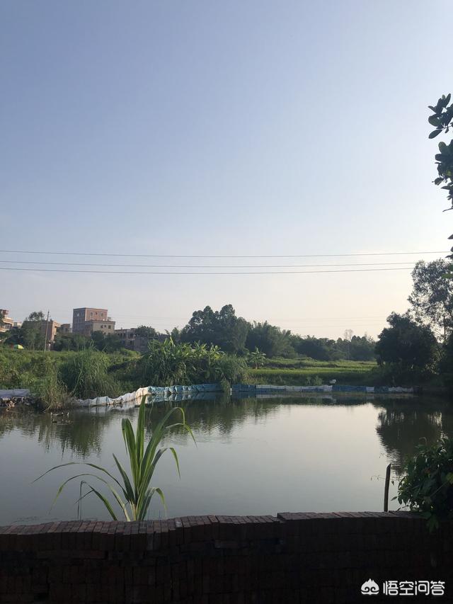 将来必定升值的东西,未来什么东西只会升值不会贬值？