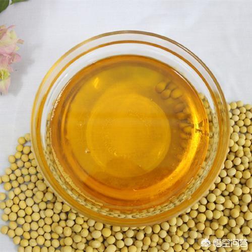 农村食品加工都有哪些好的设备和项目,适合家庭式经营的？