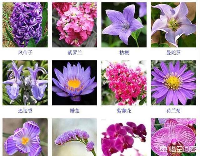 AI神经网络如何辨别事物？