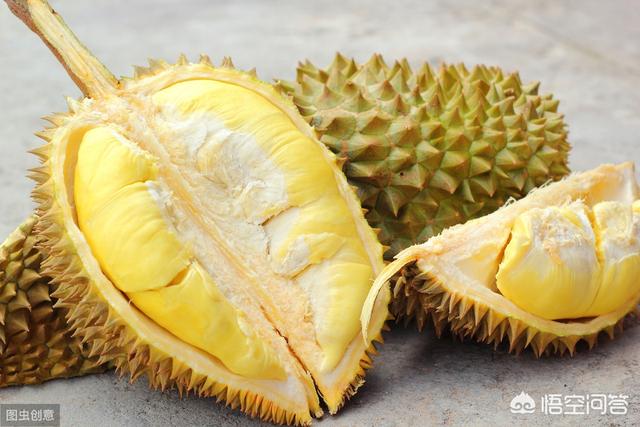 榴莲金菠萝图片:感觉榴莲价格居高不下，主要靠进口，南方可以种植吗？