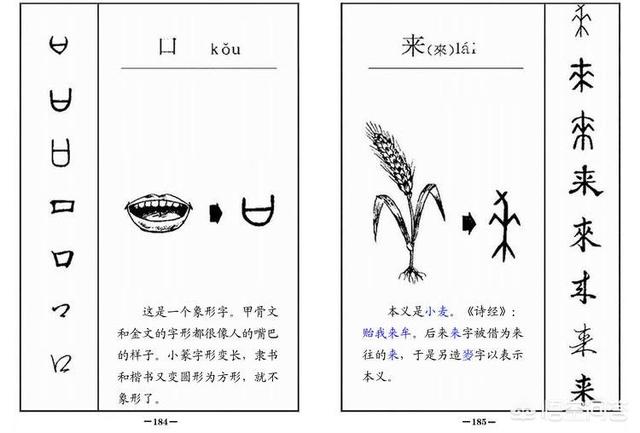 如何理解现代汉字的科学含义 能举个例吗 派大星汽车网