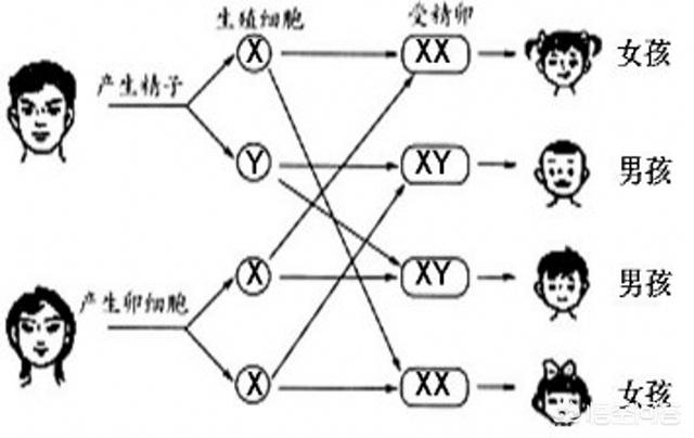 慈溪吸奶门全图:慈禧真的喝人奶吗？给慈禧提供人奶的人后来过得怎样？
