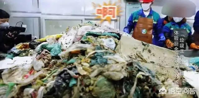 垃圾分类的意义有哪些（垃圾分类意义简单概括）