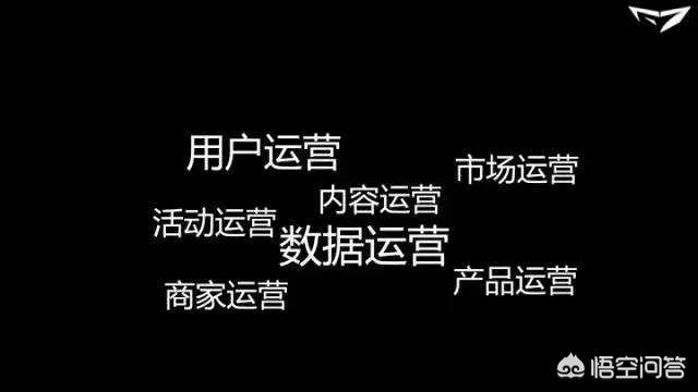 什么是产品经理，大神级别的产品经理是什么样的