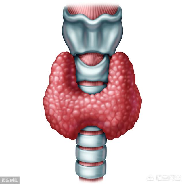 头条问答 - 甲状腺肿大是如何分度的?(7个回答)