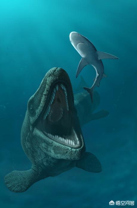 海蛇图片:史前海洋巨兽沧龙是怎样的生物？它们的体型有多大？