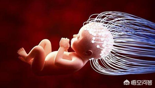 怀孕多吃什么对胎儿大脑发育好,孕中期吃什么对胎儿智力发育好？