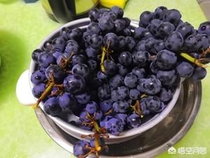 怎么做葡萄酒，怎样让自制的葡萄酒变的甜？
