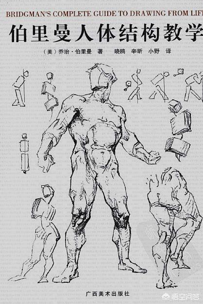 想自学画画，基本功素描和油画，谁可以给点好的建议？
