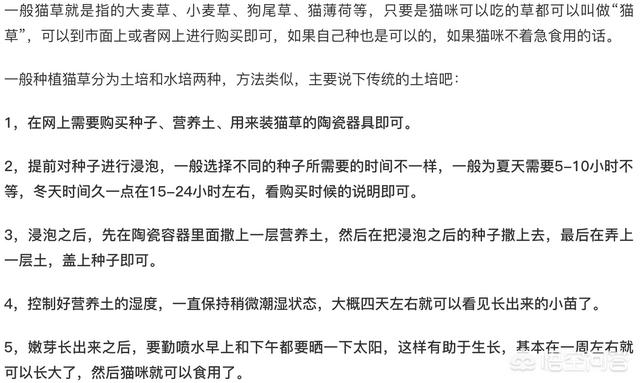 猫咪为什么会吐，条友们你们看看我家猫这是怎么了？吐了好几次了，有什么办法？