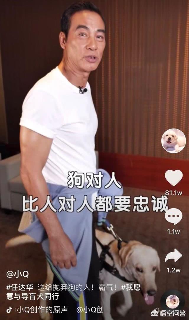 导盲犬小q观后感600:看完电影《小Q》，你有什么感受？