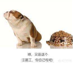 食欲减退:幼犬5个月食欲下降，狗狗食欲下降是缺什么呢？