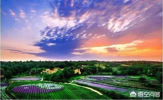 洛阳周边游:洛阳周边游有哪些地方景点一定要去？(洛阳景区有哪些景点开放)