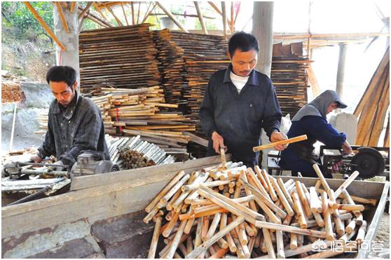 潘阳与狗最新章节列表:有好用的免费刷题学习软件吗？