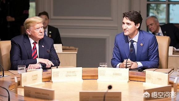 加拿大宠物吧:加拿大、澳大利亚、乌克兰算是国际上的政治三猪吗？ 加拿大宠物市场