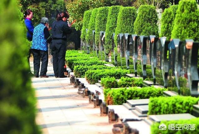 清理坟草禁忌,清明祭祖一般都有哪些禁忌？