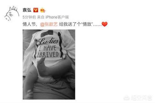 张歆艺的图片:你们觉得张歆艺的演艺怎么样？