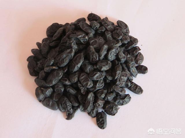 做什么菜能用到豆豉？