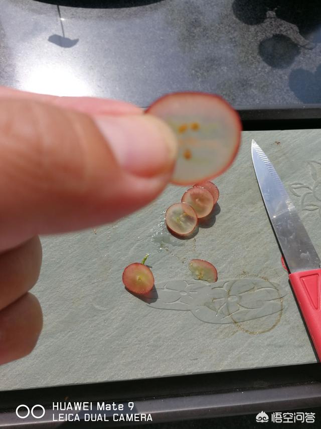 红宝石包括哪些品种,克瑞森和红宝石哪个更占优势？