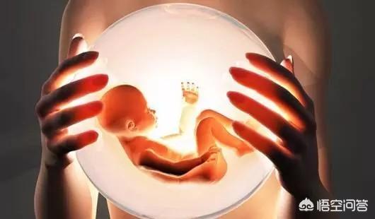 试管婴儿移植一枚坯胎，风险是否太大？