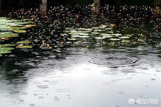 以雨為主題怎樣寫一首現代詩