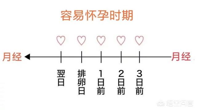 头条问答 月经过后什么时间怀孕几率高 郭医生小课堂的回答 0赞