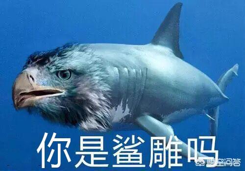 风靡<a href=https://maguai.com/list/256-0-0.html target=_blank class=infotextkey>朋友圈</a>表情包:大家都有什么表情包可以分享一下吗？