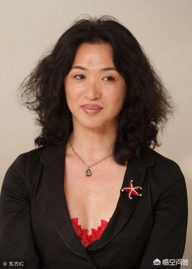 杨丽萍资料:金星的个人履历是怎样的，对此你怎么评价