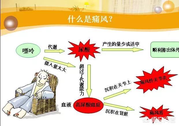 痛风能喝菊花茶吗,菊花能抑制嘌呤的合成吗？