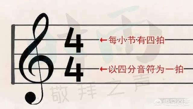 头条问答 音乐中拍子和拍号的区别是什么 志馨音乐坊的回答 0赞