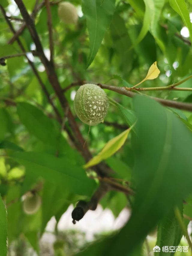 为什么在<a href=https://maguai.com/list/256-0-0.html target=_blank class=infotextkey><a href=https://maguai.com/list/256-0-0.html target=_blank class=infotextkey>朋友圈</a></a>转发水滴筹和轻松筹，不仅没人信还令人反感呢