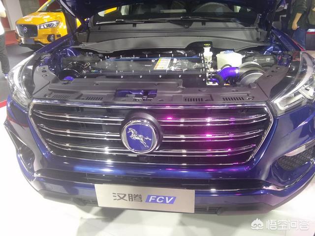 上海新能源汽车展览会，今年上海车展已经被新能源车接棒了吗？