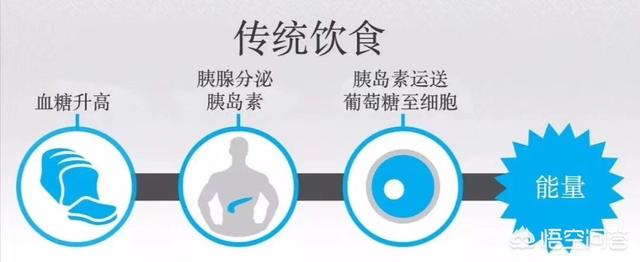 卡路里摄入量和饮食结构,哪个对减肥的影响更大？