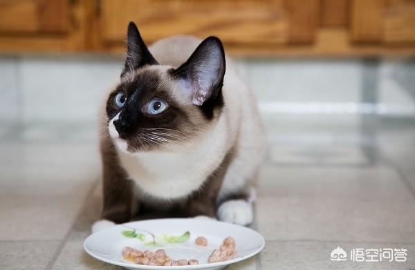 猫癣会传染大猫吗:请问猫癣会传染人嘛，我家猫咪生了猫癣我照顾他会传染吗？