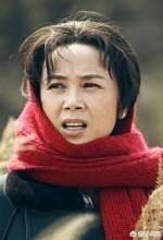 蒋雯丽个人资料:求娘要嫁人演员表!戴世亮的饰演者资料